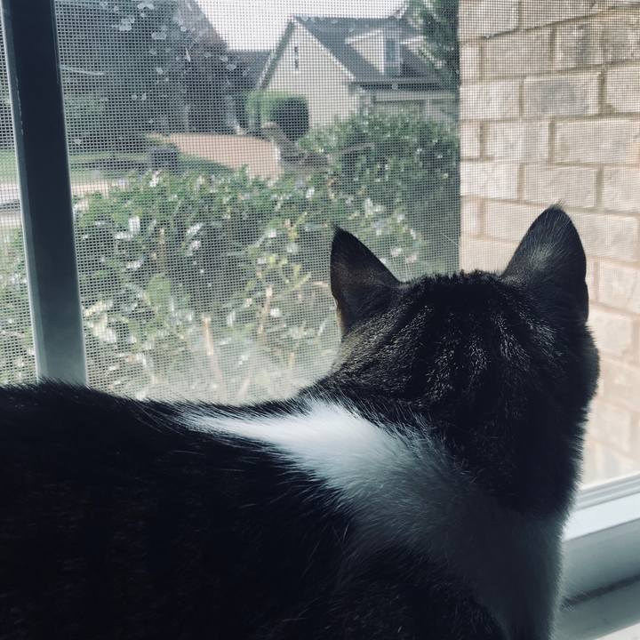 48eb72ad fbf7 4e4a 9d44 628a807fb1b1