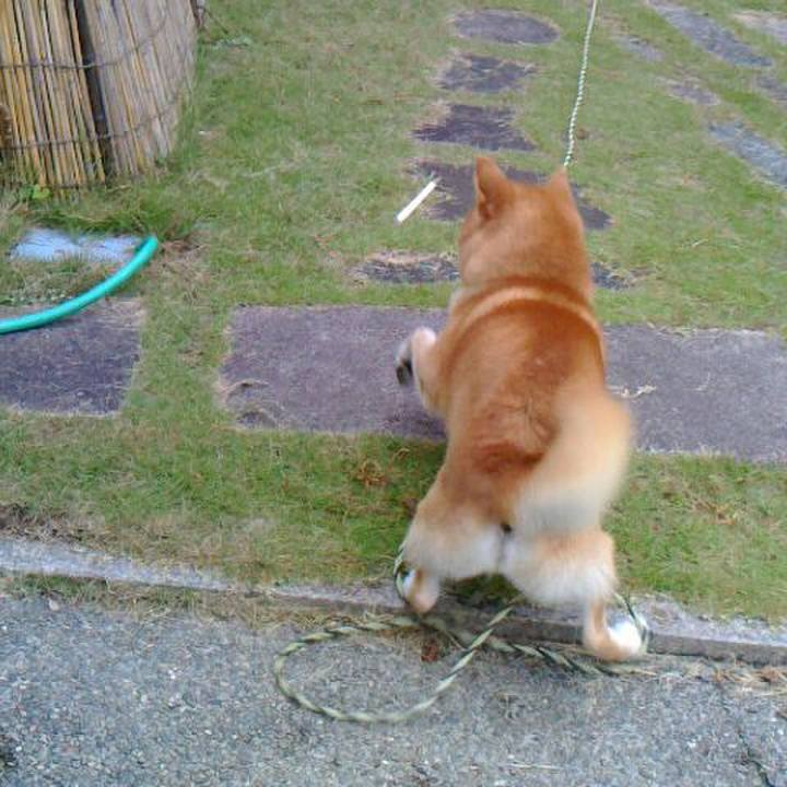 48ebec6b ebca 4d95 a9f0 3f9f3effb8a4