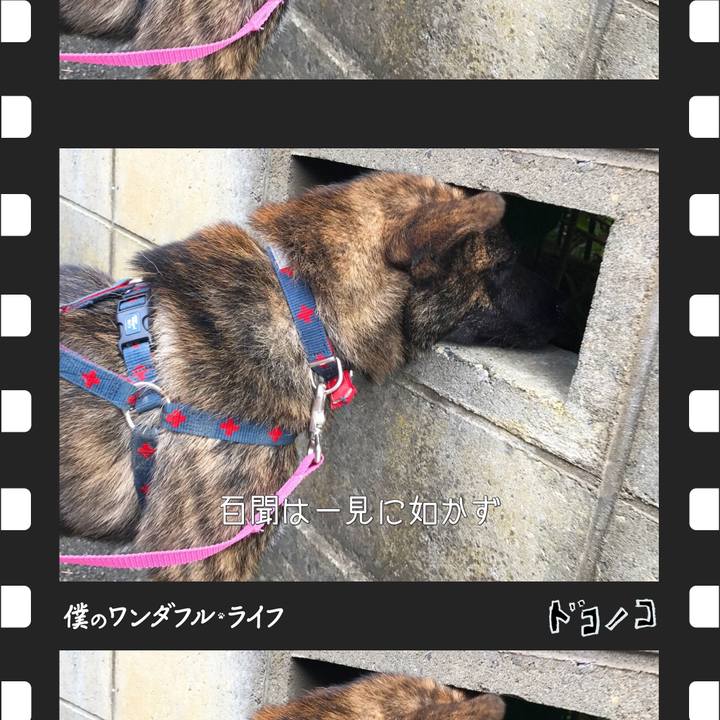 48ec5dfd 6e16 42ab ad9d 8a379d7a4d2e