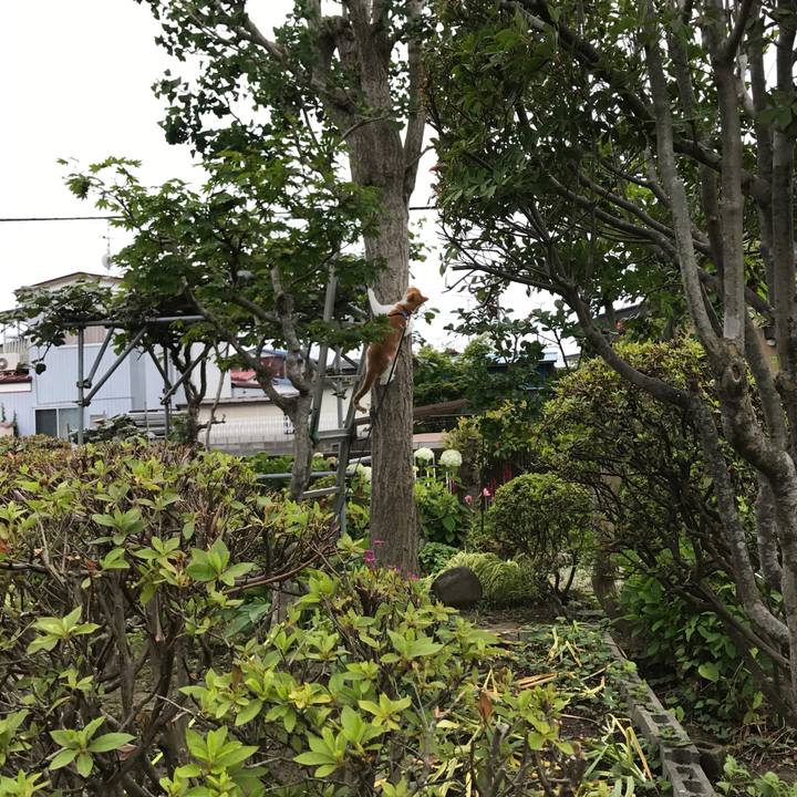 48ec6747 e47a 45c7 bd95 e137084a1d94