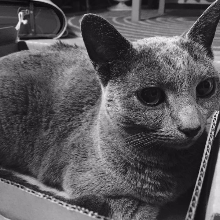 48ed92cf 589b 457b 832e 5af659e2e1bc