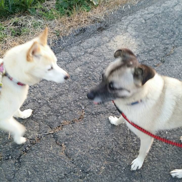 48ee025a 814b 4757 92ab 1d467c29c1ab