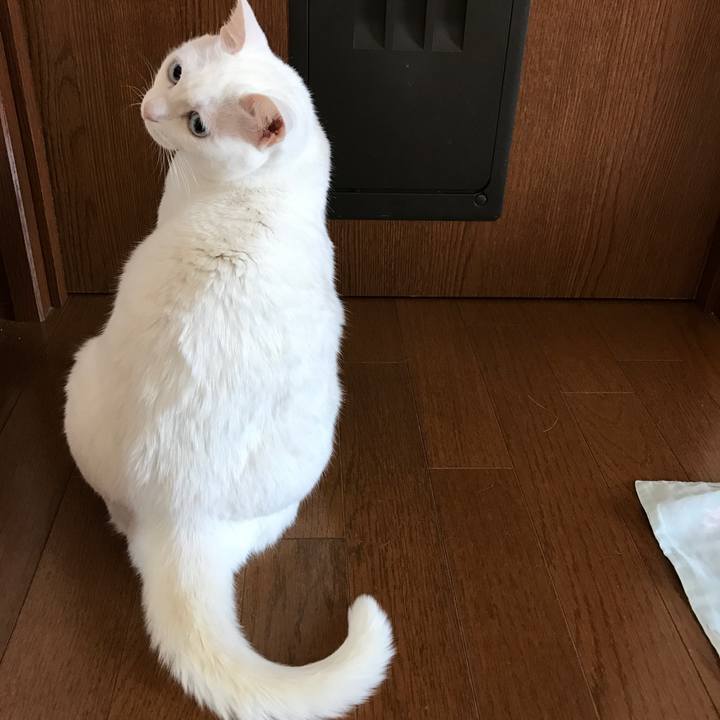 48ee0310 a5ec 4d85 8e20 2edca6e148aa