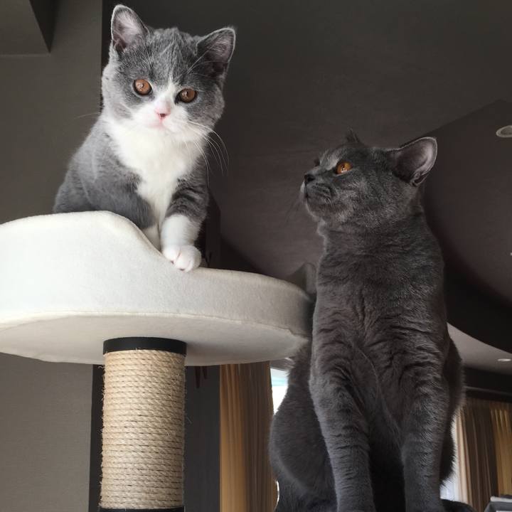 48ee0ada ec0e 4a70 a673 667383f1aa6d