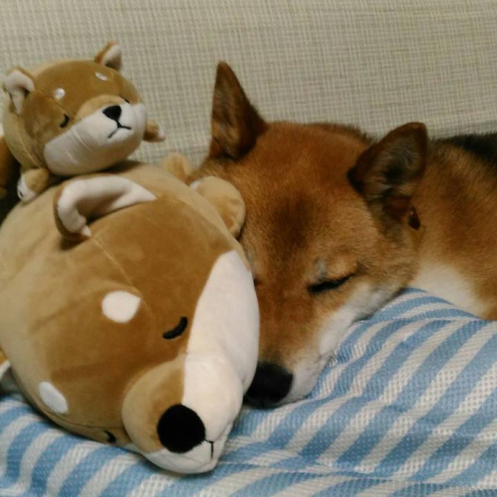 48ee9d16 86c6 4c07 aea2 177389c8e0c8