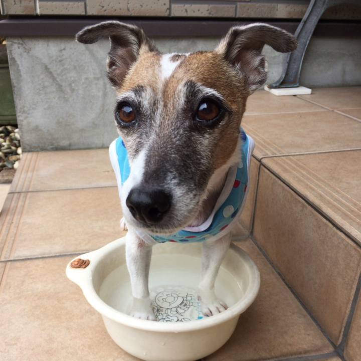 48eed636 c850 49da af14 7041096ea5c6