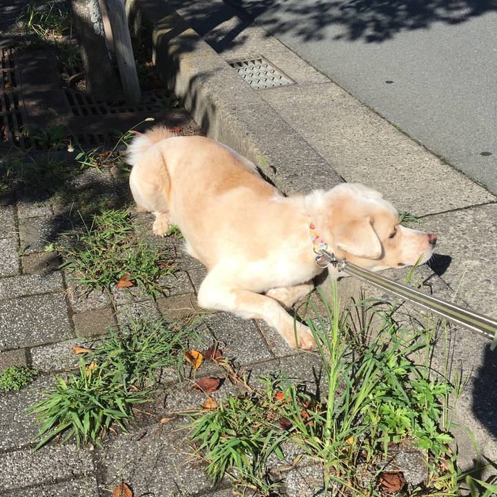 48ef5ba5 2c9e 4865 977c ac50a052390a