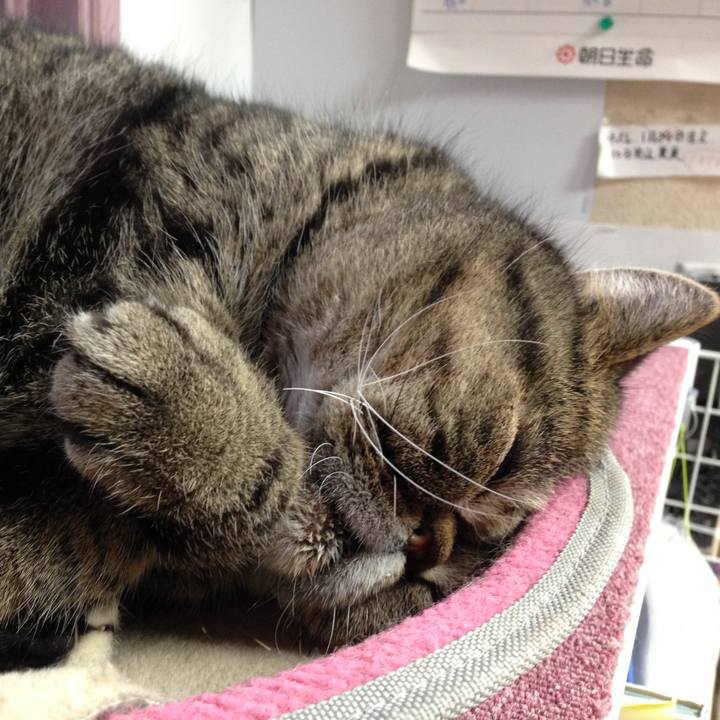 48ef97f3 1d6b 499c 9f37 f8b16305afc8