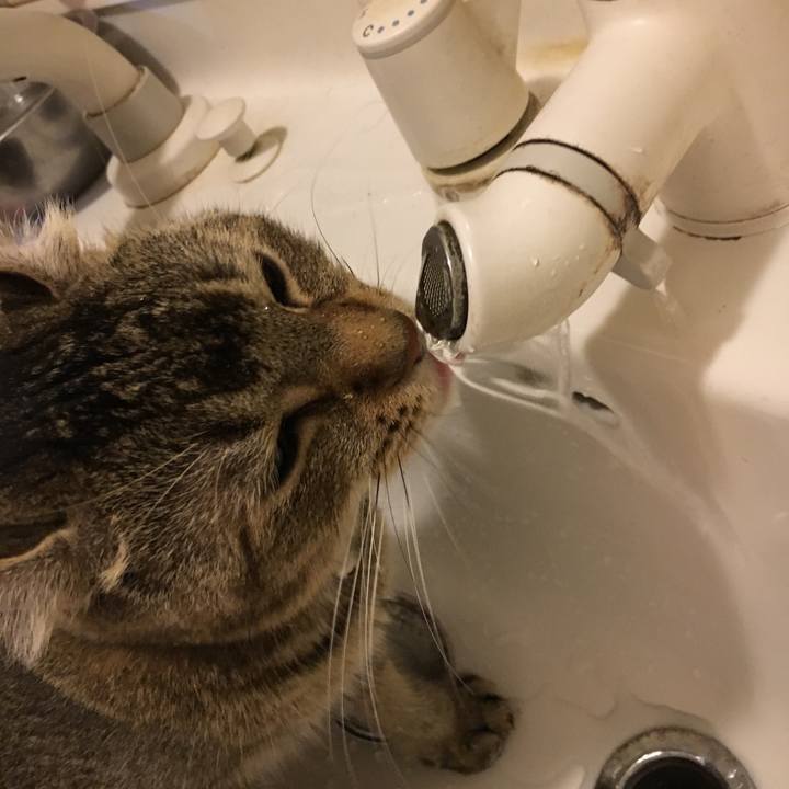 48f0104e 9f98 493c 8a3a 4e0b196c4dd3