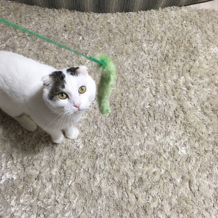 48f0a8b5 5b15 445b ae9f d8c7609a6733