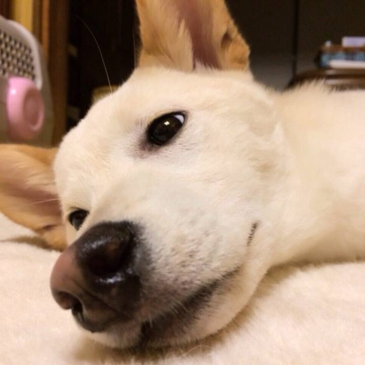 48f0ba35 fe8b 4fc7 9e06 6649edcab8c6