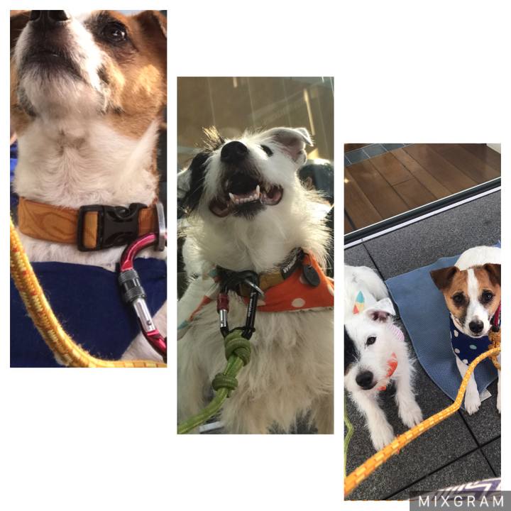 48f38996 569f 48a0 84f5 88e3ae45636e