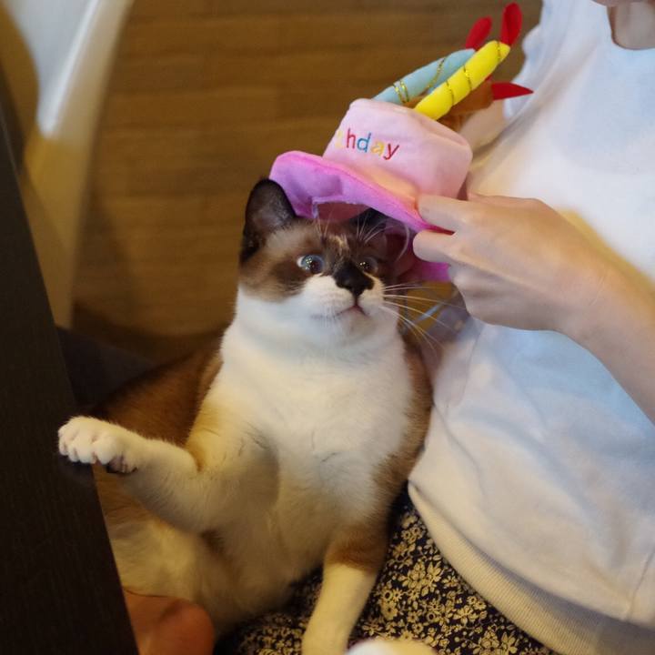 48f3ffa0 6eb6 405f bef3 746ca86e27b4