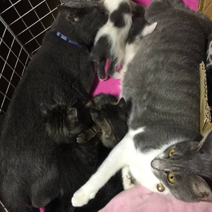 48f3ffd7 0991 4d4a a253 7d6d1902605c