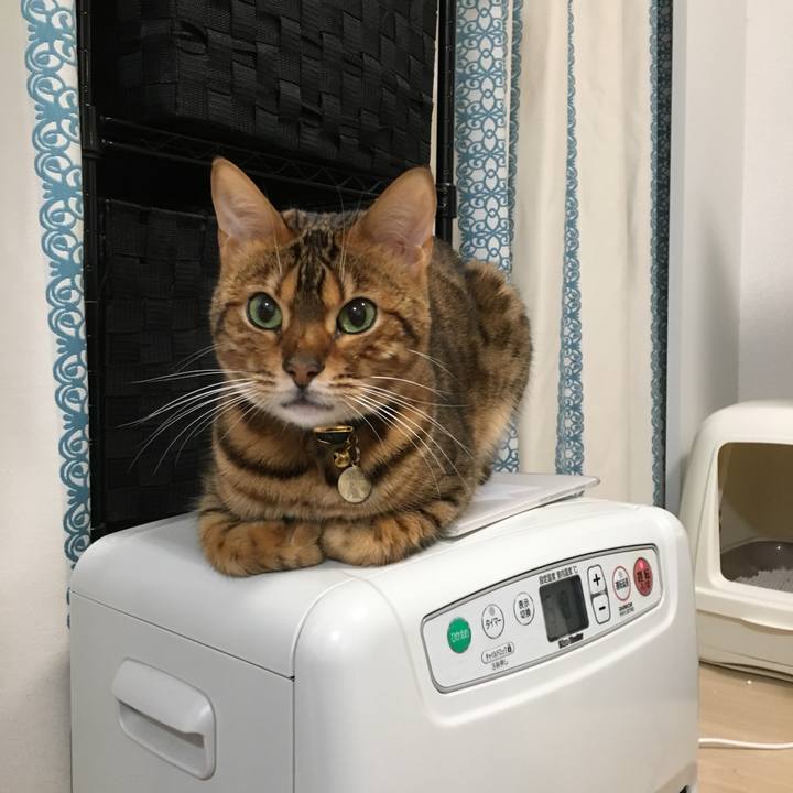 48f47e94 be93 41f9 ac5f 47093ccba967