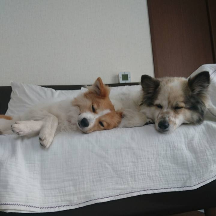 48f4e679 172c 4ab7 b2eb f3c4e857144f