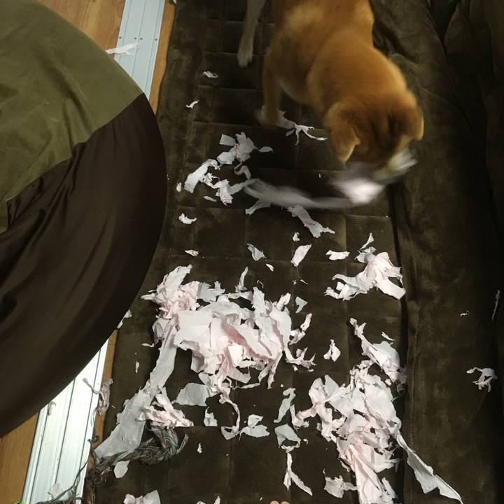 48f5512f fa01 421c b208 811842839ec8