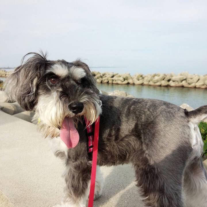 48f551c5 ec18 4764 a0cc 60c67d5d6709