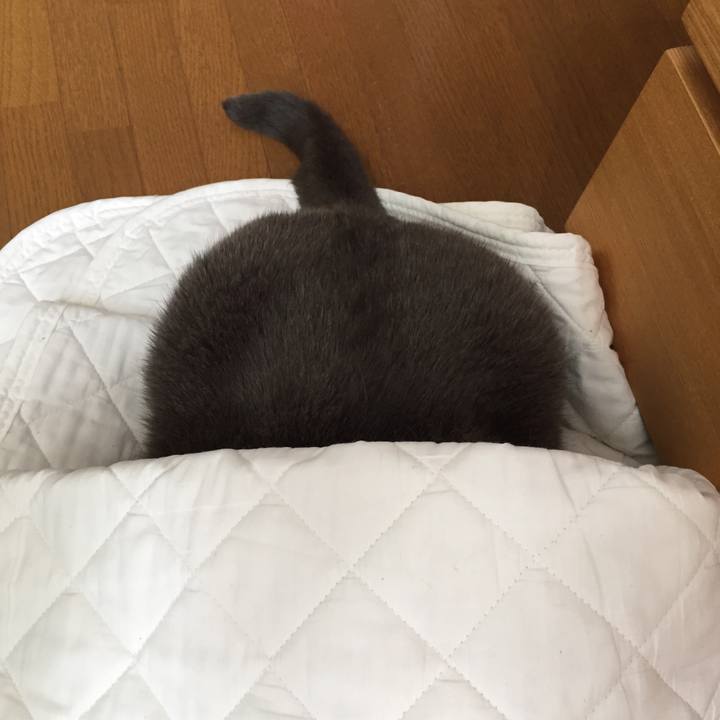 48f5cd1f 42a1 4625 9521 1b1cf10b0e07