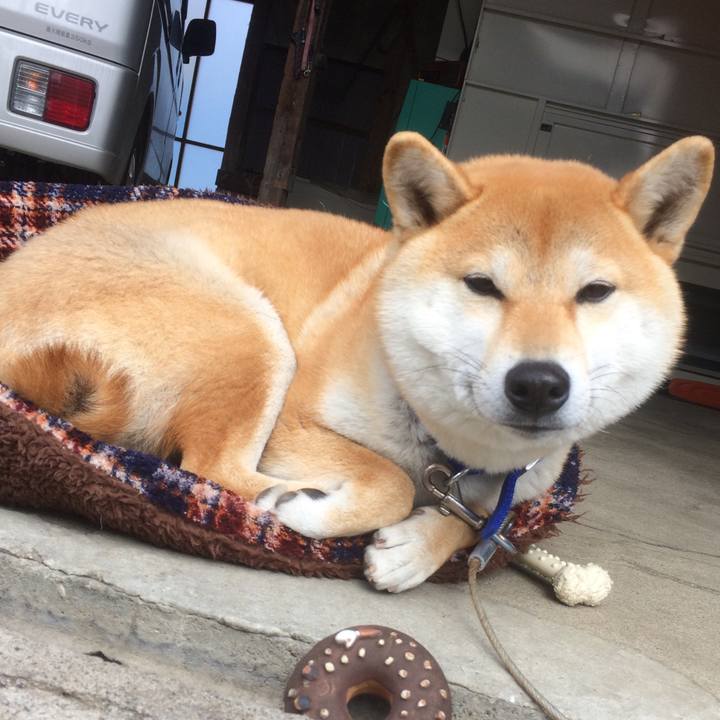 48f6767f f21e 4e5e b7dc 6260e663c8b5