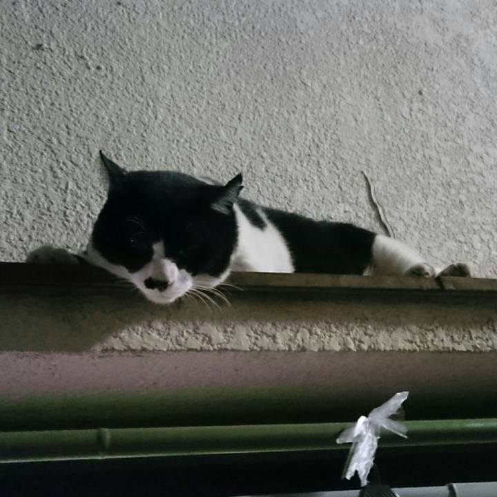 48f682d4 ef76 4cdb 9142 7eb8bdfca4c3