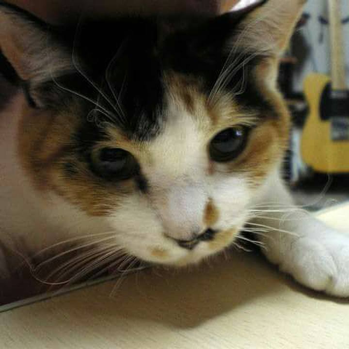 48f7269e 937f 4955 a28d 4aed3acb22e5