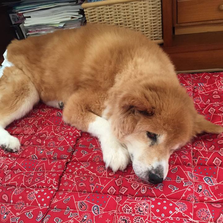 48f7a39c 775d 4b1e ac6f 3ac607b8f713