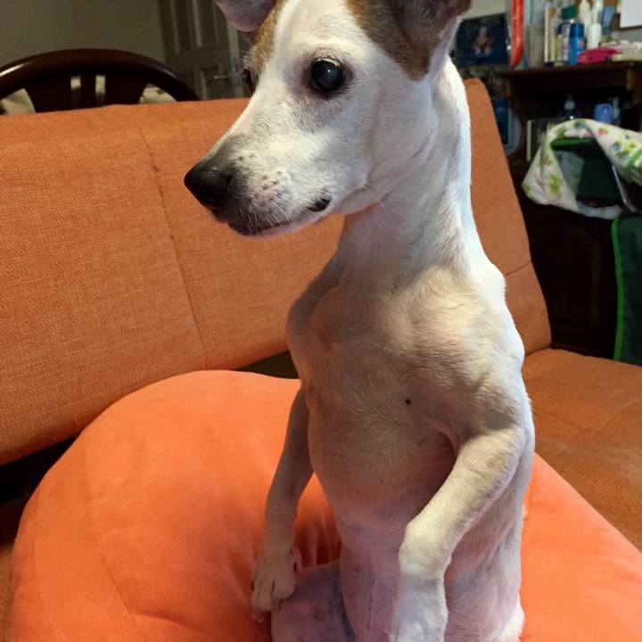 48f89f34 4371 4604 96a5 104964a60db4