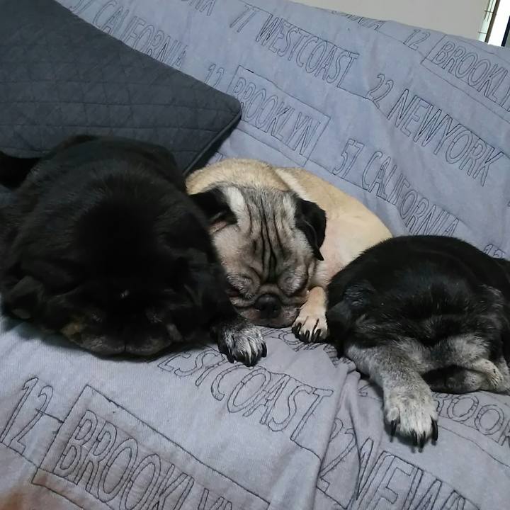 48f97dac 9398 4464 b030 fdaca65ce559