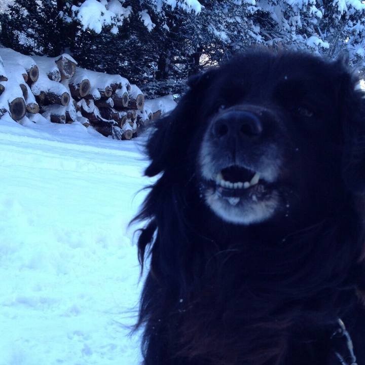 48f99d53 278c 4504 86d5 c65c34abea9f