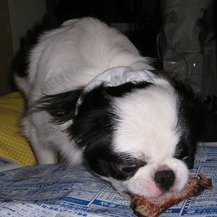 48f9db98 34a6 4d8a 8dc9 2cc50b522cd3