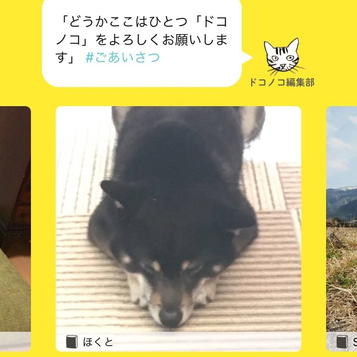 48faf1ab 548b 4d26 9aa4 150913a510ec