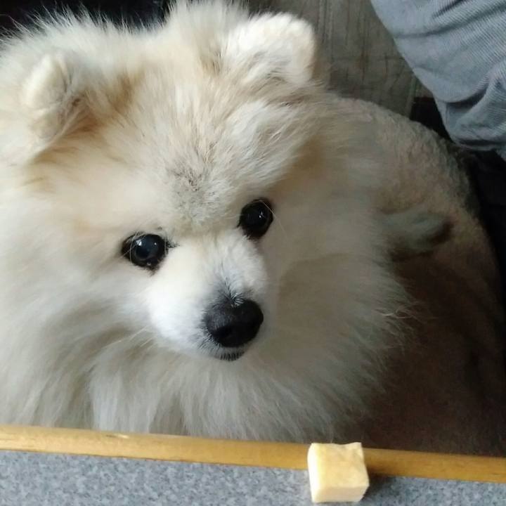 48fb067b 2668 4991 9249 7291bdf3b889