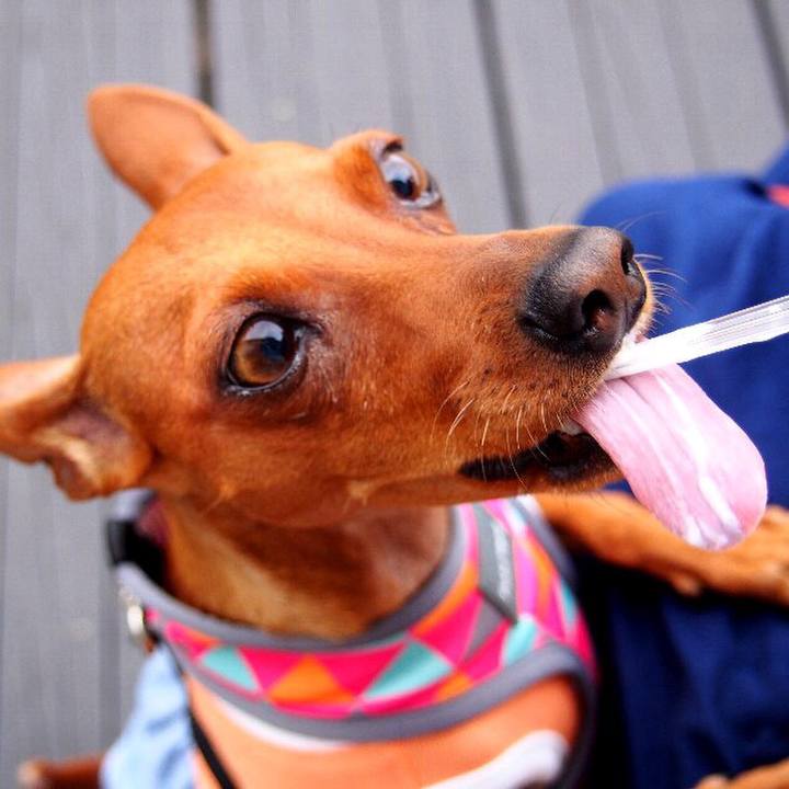 48fb5b44 06b0 472e a90b 552a38a1f17b