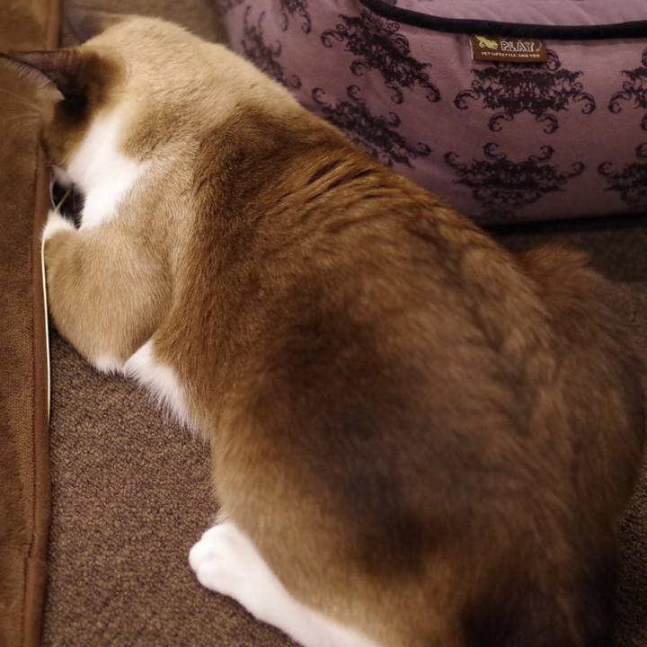 48fb5de6 7b69 4fc7 8961 cf32bdc40fa6