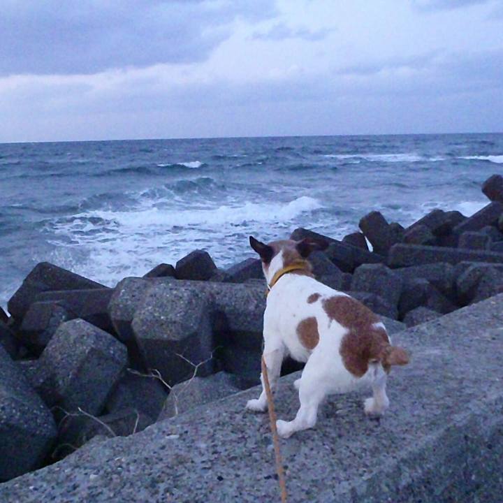 48fcc2fe e5a7 487e 9256 a372d7667379