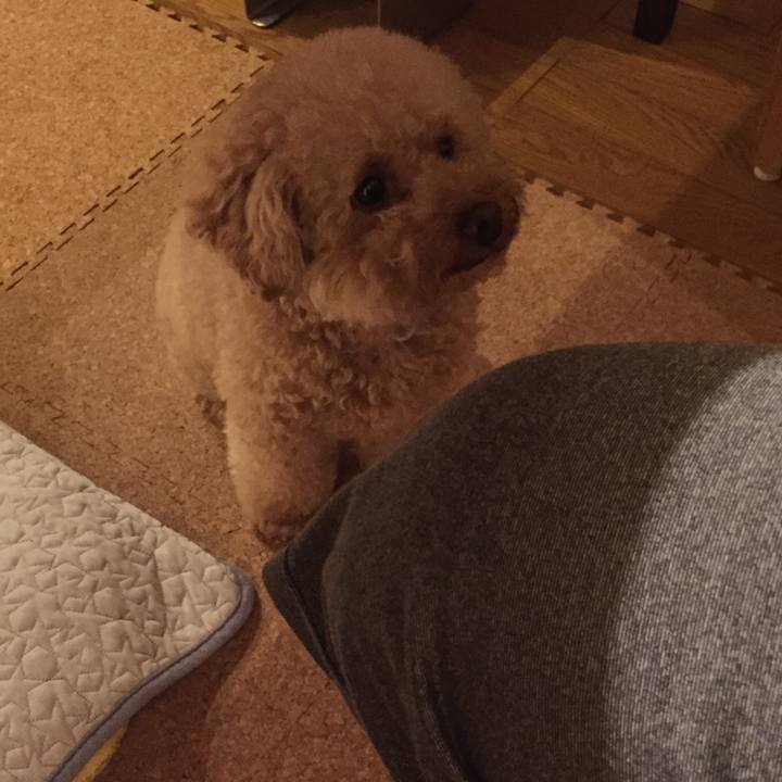 48fcd001 d7f3 40cc ab0a 8b6887bffb82