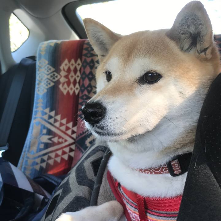 48fcd8be ed91 4938 9ec2 e406bb3b392d