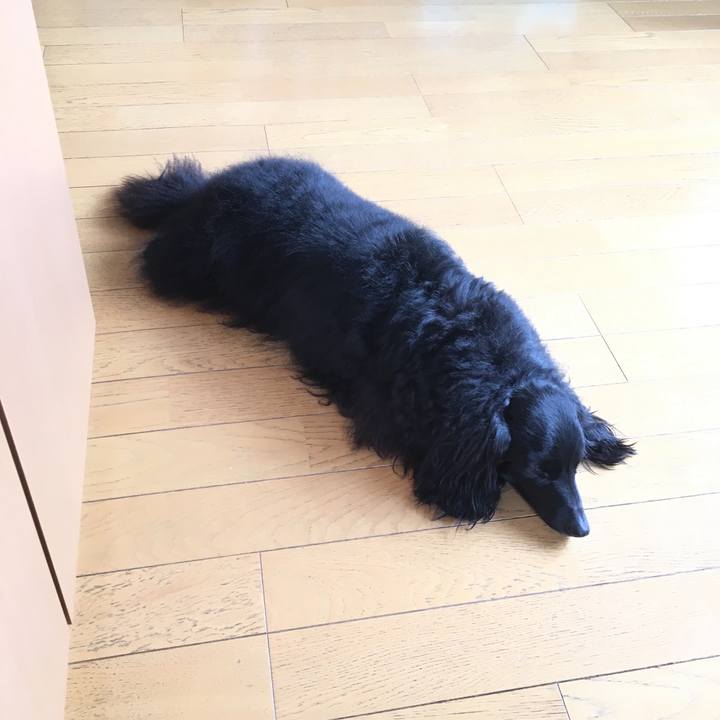 48fd32d0 c1de 4e06 8264 b3639e7e9adb