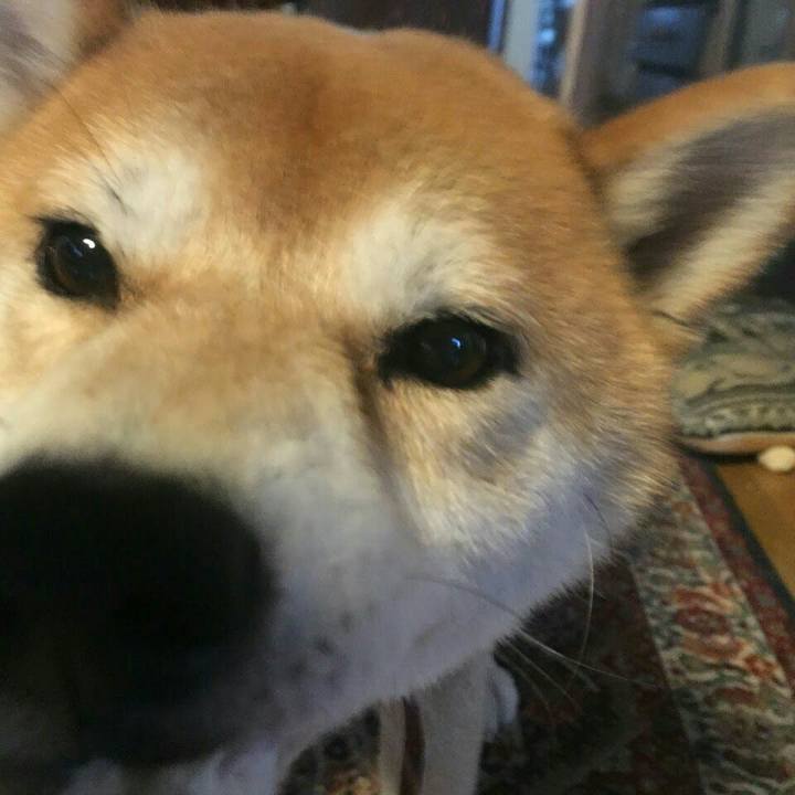 48fd51ba 1c34 42ab a3c2 136162eb2a52