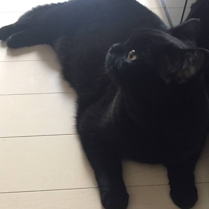 48fd5f96 43e4 477b 8983 44049ffa749c