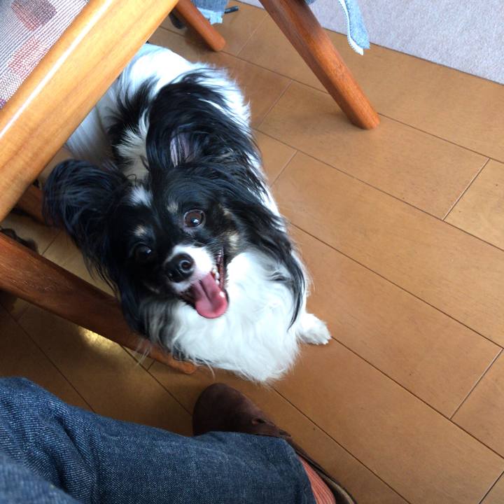 48fe67aa 9127 40c1 9e3f 62c5277f7b28