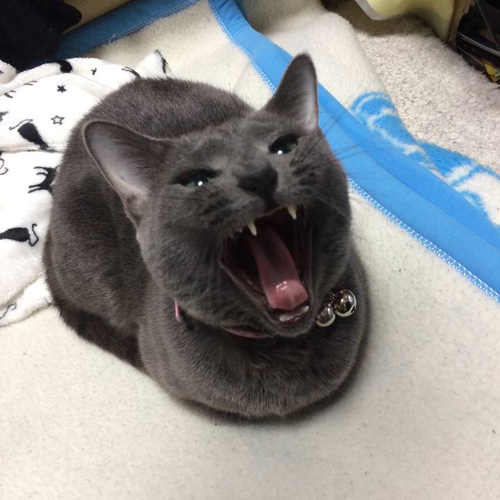 48fed074 fccc 4faa 97b3 595cb3068531