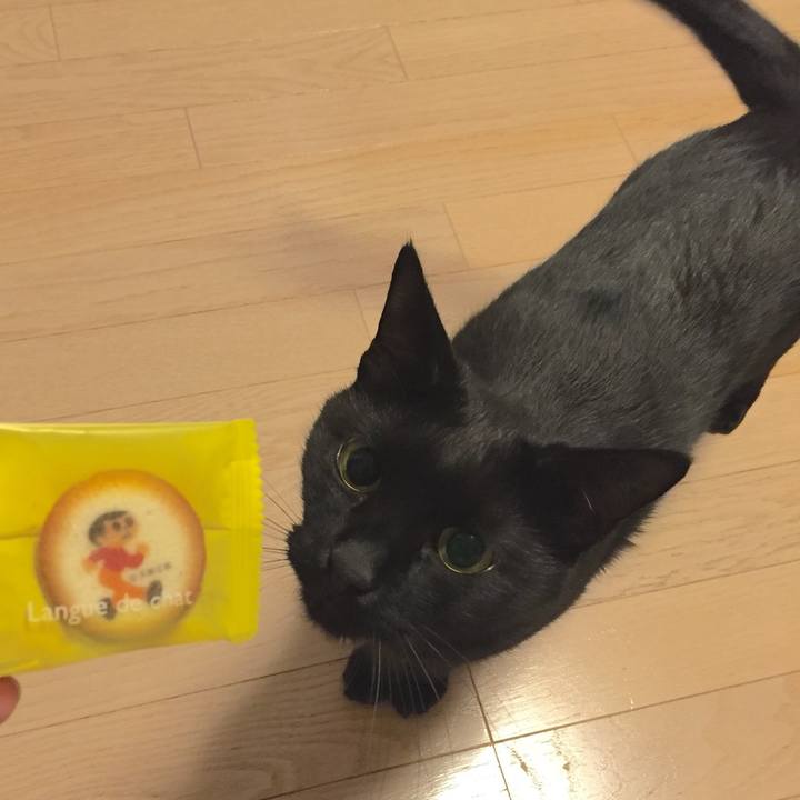 48feea8b 8a8e 465d 9356 4440e7150620