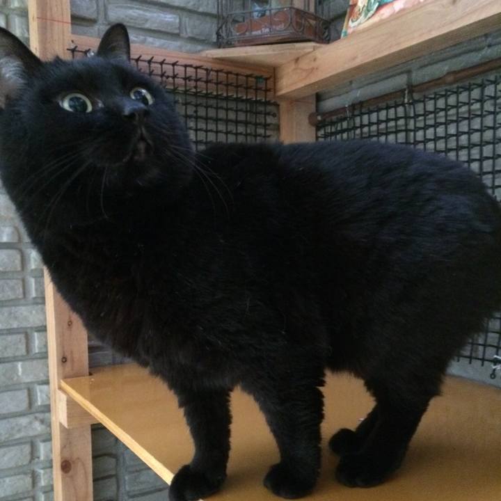 48ff131c cb27 4725 94ac 6c0ec79b8e7c