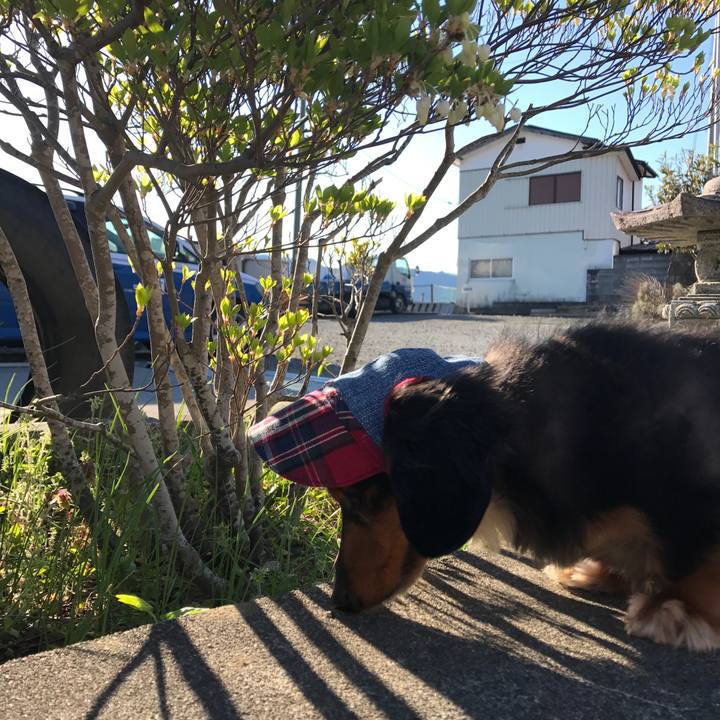 48ff2586 f54c 403c a4f1 3e85e031e6a0