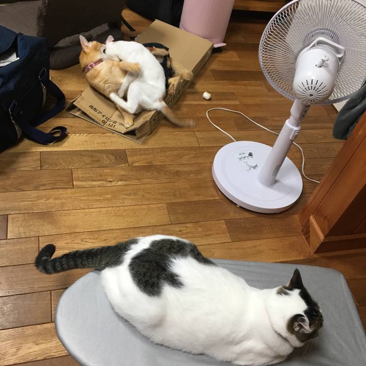 48ff444d b2d0 41b2 be92 9f98240aa31e