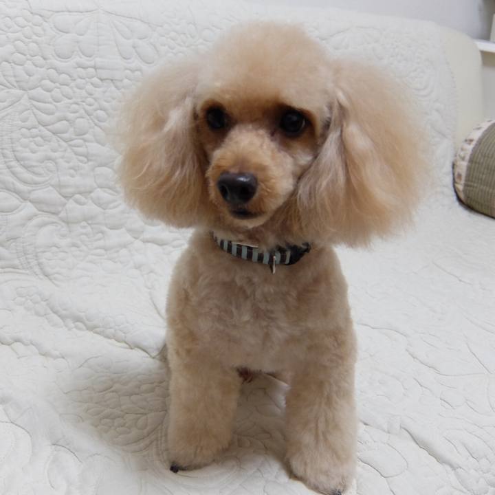 48ffac7a 098c 441e b669 0e4414eb4626