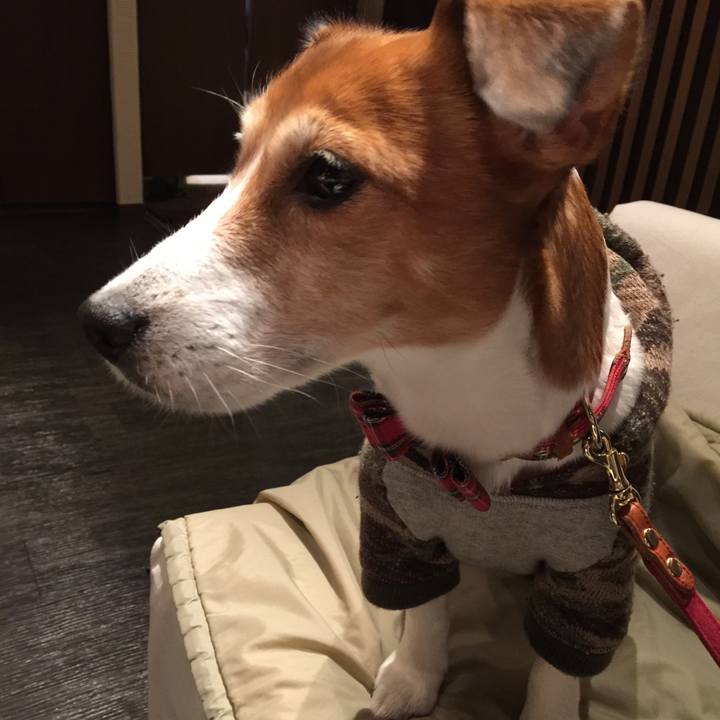 48ffba10 1102 4e8d a19a bac60a8bfe1c