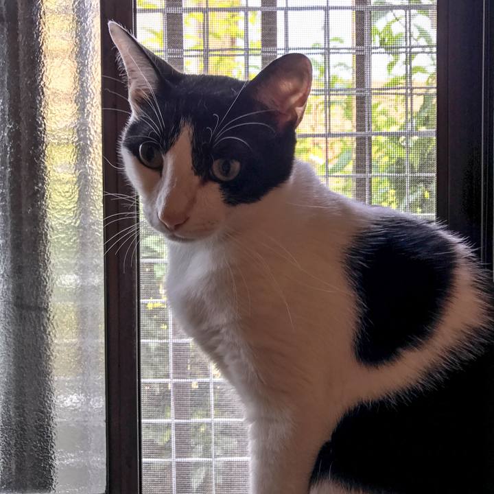 48ffded8 e776 4c8a bfd4 a883e7ee5336